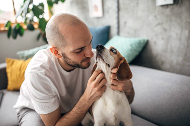 istock Young man playing with his dog at home 1246010860