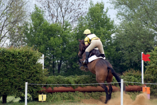 young rider takes her first jump at a pre novice event.