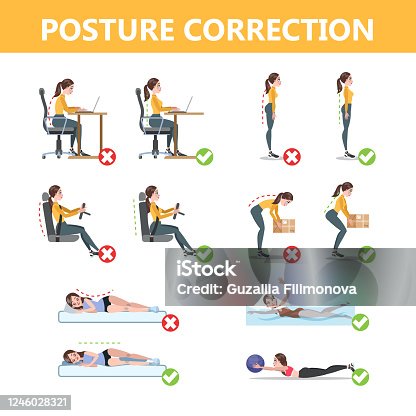 https://media.istockphoto.com/id/1246028321/vector/how-to-correct-posture-infographic-incorrect-pose-and-back-pain-wron-and-right-body.jpg?s=170667a&w=is&k=20&c=Eo66rVYWiQE_40Ihj7NT8fgkyK9B3kZVRSqT4efqtOM=