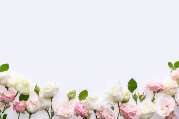 istock Festive flower composition  isolated on the white background. Border frame. Overhead view 1246029176