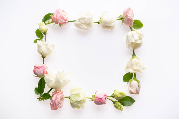 istock Festive flower composition  isolated on the white background. Border frame. Overhead view 1246029262