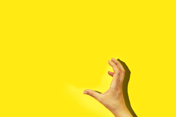 istock Caucasian female hand to grab objects or catch isolated on yellow 1246034213