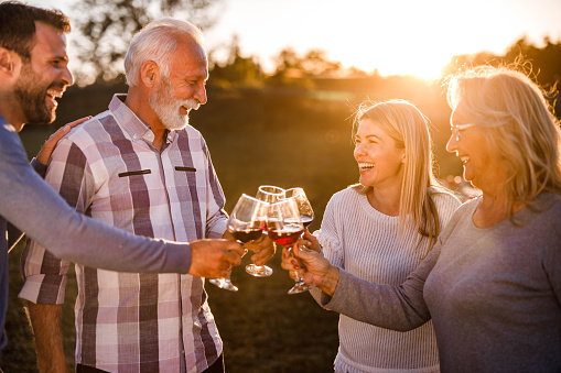 Happy mature couple and their adult children enjoying while toasting with wine in nature at sunset. Focus is on young woman.