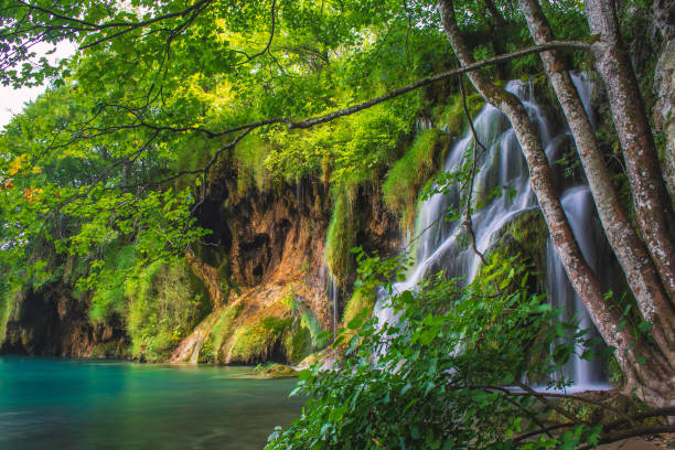 istock Plitvice Lakes National Park, Croatia 1246070340
