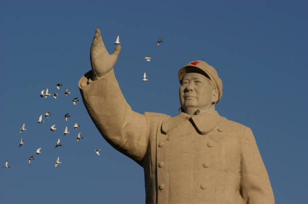 Mao Zedong Statue pigeons flying closeby Mao Zedong statue in Renmin Square. Kashgar (Kashi). Xinjiang Uyghur Autonomous Region. China. mao original stock pictures, royalty-free photos & images