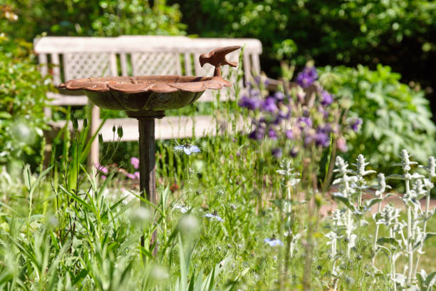 istock Idyllic view of a beautiful springtime garden with bird bath 1246090795