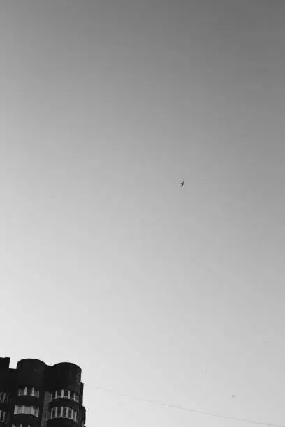 black and white landscape photo of sky
birds,flying