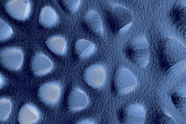 Background, texture, 3D rendering of the skin under a microscope