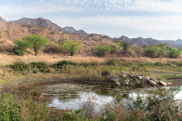 istock The Ranakpur dam in India 1246102845