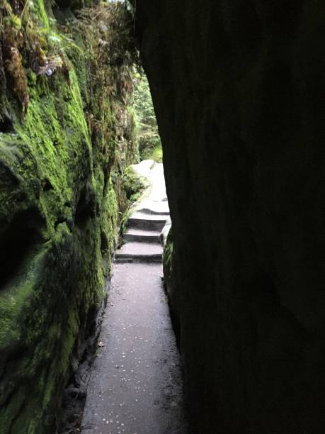 istock Saxon Switzerland, Bastei, Germany 1246115991