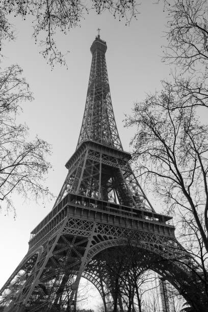 istock A black and white view of Tour Eiffel 1246124407