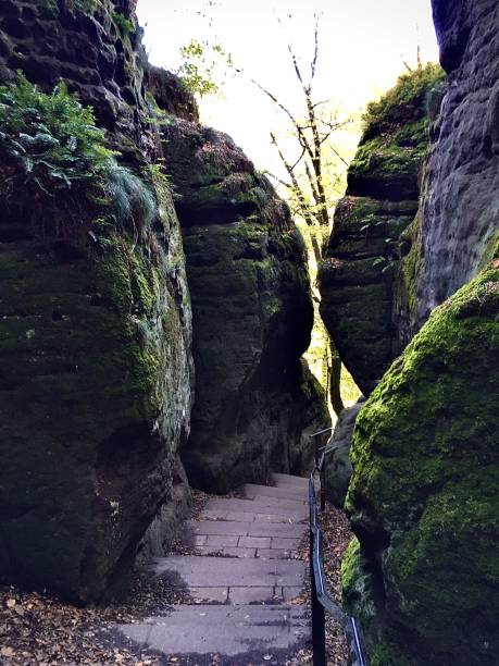 istock Saxon Switzerland, Bastei, Germany 1246125037