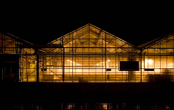 szklarnia - greenhouse plant nursery plant lighting equipment zdjęcia i obrazy z banku zdjęć