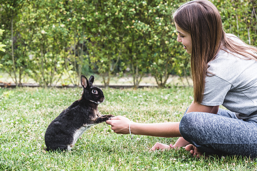 Teenager playing with her black rabbit in the garden on a beautiful summer day