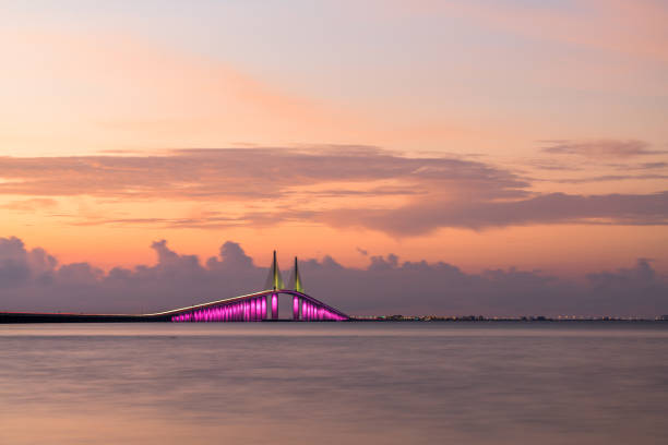 istock Sunshine Skyway Bridge in Florida 1246160028