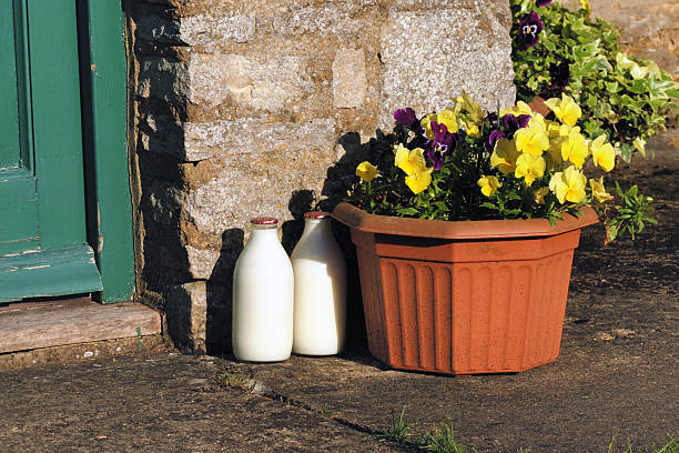 두 우유관 물을 아침입니다 일요일 고슴도치에 금융 - milk bottle bottle milk doorstep 뉴스 사진 이미지