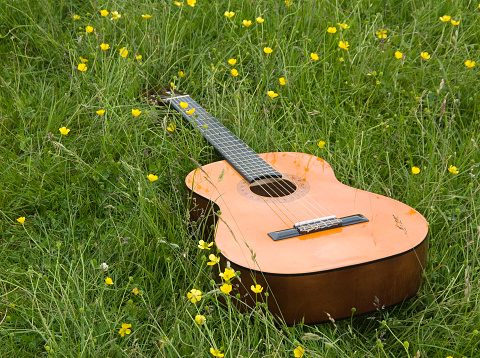 Acoustic guitar in a field.