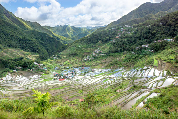 istock Rice terraces and Banaue village on Philippines 1246188051