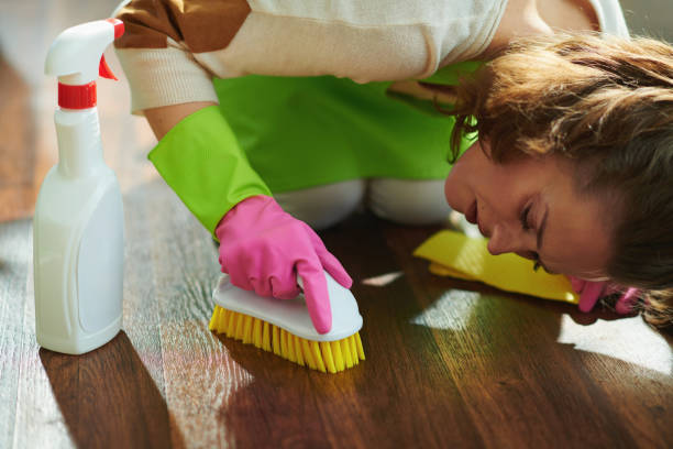istock focused modern woman with cleaning agent, brush and wipe clean 1246189143