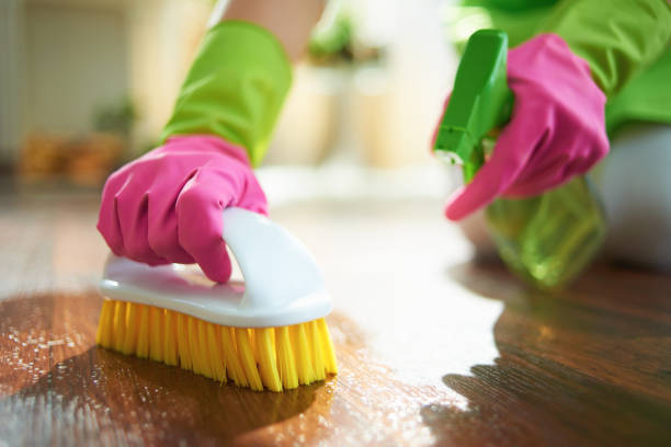 istock modern woman with cleaning agent and brush clean 1246189151