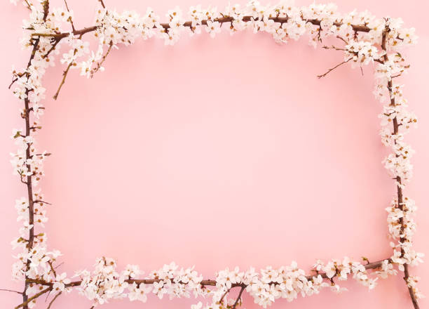 istock Composition of square frame spring flowers, blooming tree branches, leaves on a pastel pink background. Content for Valentines Day, Womens day. Flat lay, top view, close up, copy space for your text 1246195105