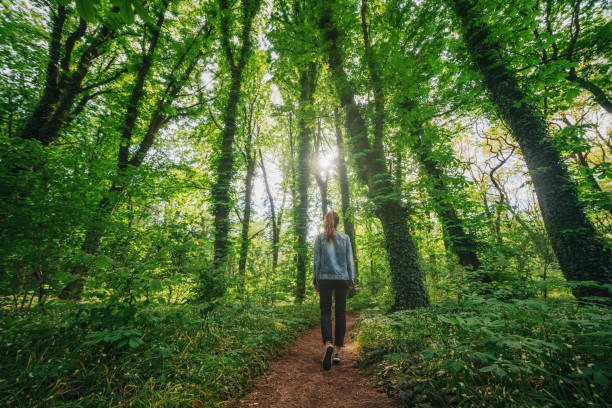 femme marchant seul dans la forêt - surrounding photos et images de collection