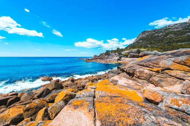 costa rocciosa con rocce rosse in tasmania, australia - freycinet national park foto e immagini stock