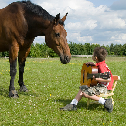 23 year old french chestnut mare with young boy.