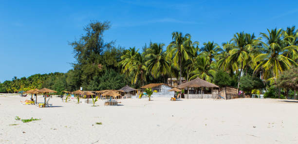 West Africa Senegal Cap Skirring - Paradise beach - beach chairs, umbrellas in Cap Skirring there are the most beautiful beaches of West Africa which are rarely visited by tutors and almost all the time almost empty. senegal beach stock pictures, royalty-free photos & images