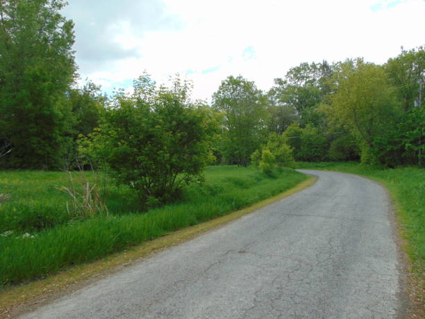 istock Isolated and curved country road with trees in horizontal 1246259189