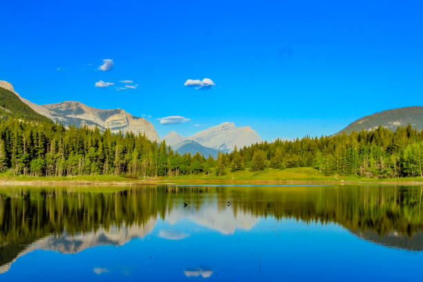 istock Summer refelcted in Middle Lake, Bow Valley Provincial Park, Alberta, Canada 1246263142