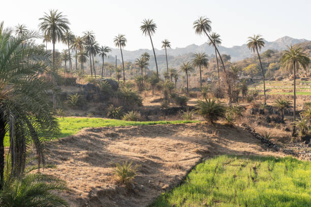 istock The nature view of Mount Abu area 1246264227