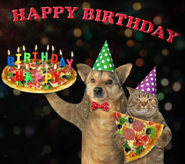 istock Dog with cat carry birthday pizza 1246264234