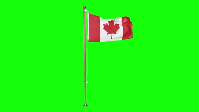 Free Canada flag animated Stock Video Footage & B-Roll Download 4K & HD  Clips