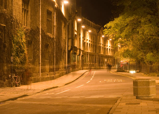 A night street scene with light trails, a decorated Christmas tree, and festive lights on a quiet road.
