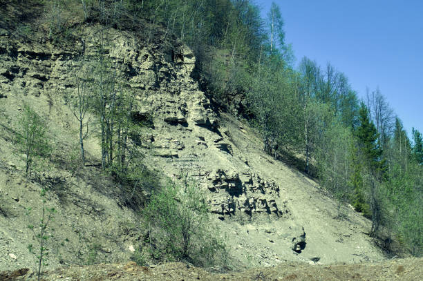 istock Steep slope with green trees on a sunny day 1246280289