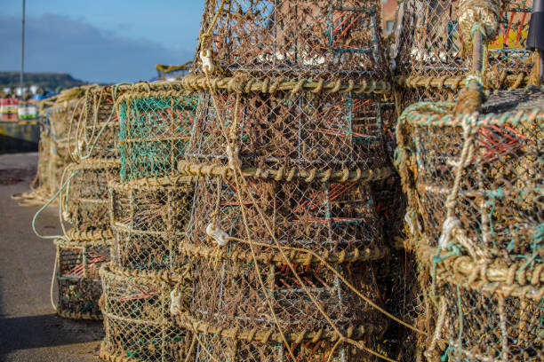 istock Crab and Lobster Pots at Mudeford Quay 1246286279