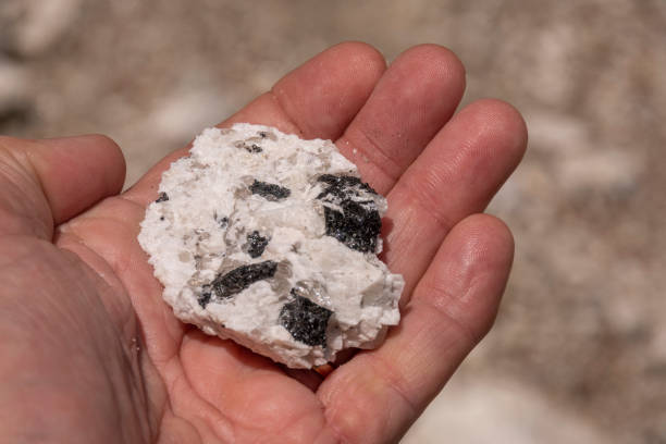 istock Hematite Embedded in Quartz in the Hand of a Geologist 1246288608