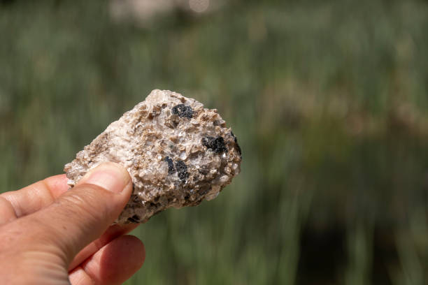 istock Hematite Embedded in Quartz in the Hand of a Geologist 1246288909