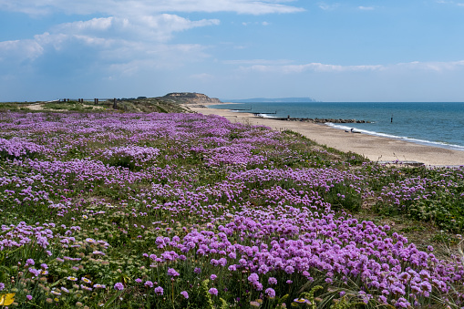 Southbourne,Bournemouth, UK-May 12, 2019: Photos from Southbourne Beach.