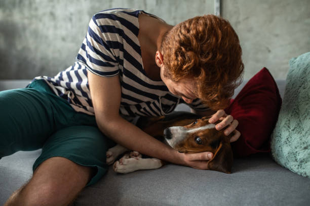 istock Man stroking his dog while relaxing on sofa at home 1246295200