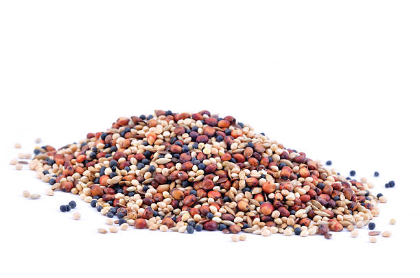 Pile of Birdseed A pile of Birdseed isolated on white. bird seed stock pictures, royalty-free photos & images