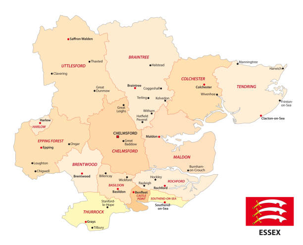 administracyjna mapa wektorowa angielskiego hrabstwa essex z flagą - essex stock illustrations