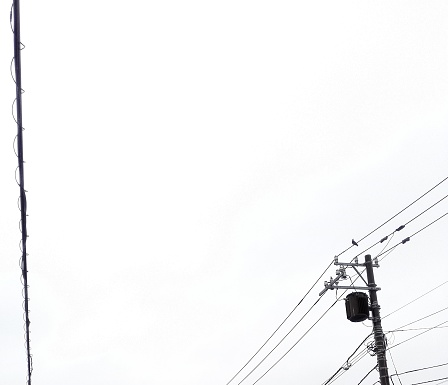 Electricity transmission cable and telephone pole in japan with white sky