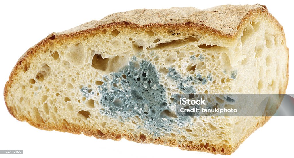 mold sobre pão - Foto de stock de Mofo royalty-free