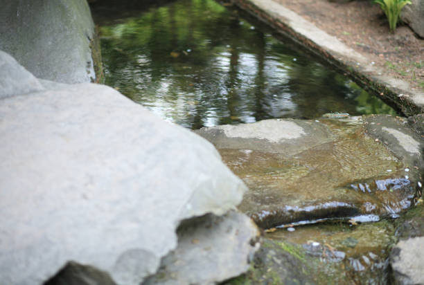 istock japan garden at day 1246327584
