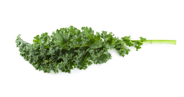 istock Fresh organic green kale leaves isolated over white background 1246330438