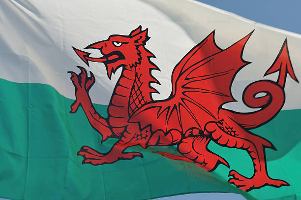 bandeira do país de gales close-up - welsh culture wales welsh flag dragon imagens e fotografias de stock