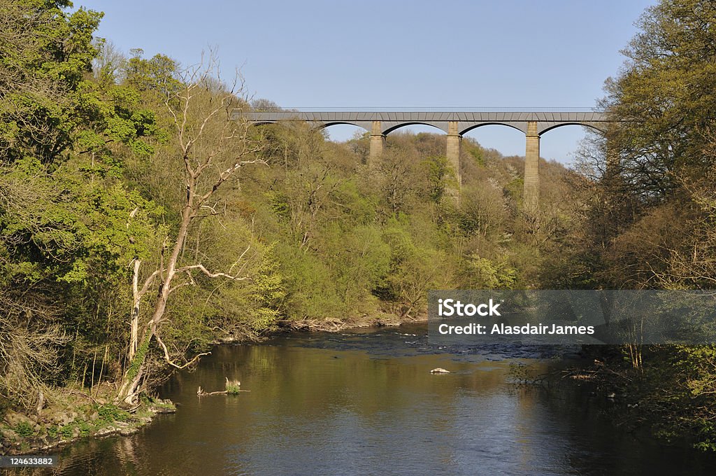 Pontcysyllte Aquädukt in den Frühling - Lizenzfrei Aquädukt Stock-Foto