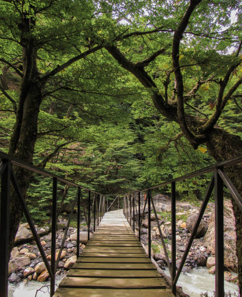 The nature